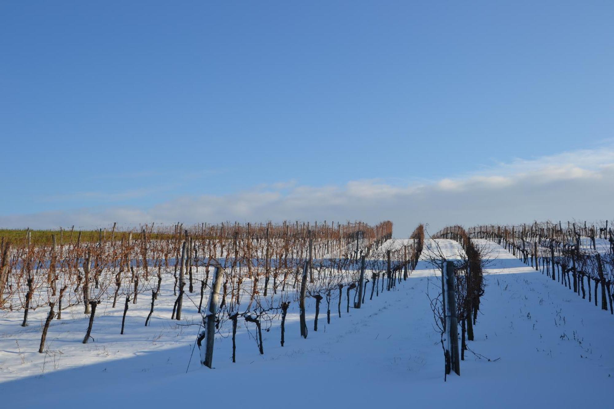 Wein + Bett Wiedeck Stetten Екстер'єр фото